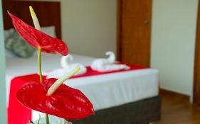 Hotel La Palmera De Oro
